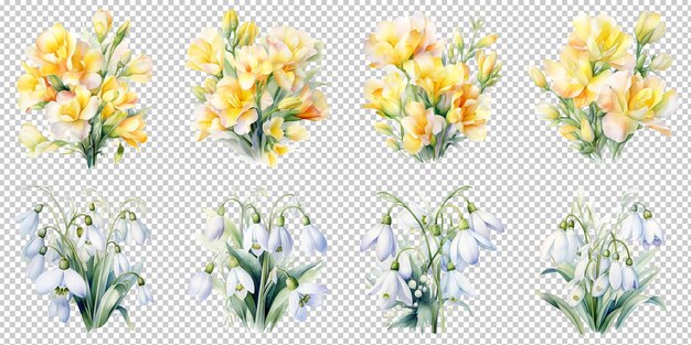 PSD watercolor freesia and snowdrop flowers artificial intelligence generative