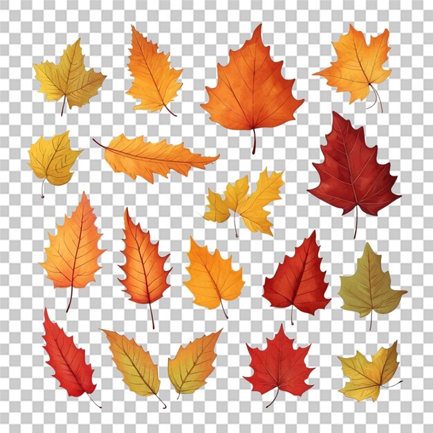 PSD watercolor hand drawn autumn set leaves transparent background