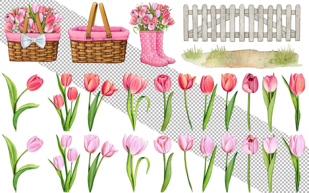 Watercolor hand drawn pink tulip garden easter set