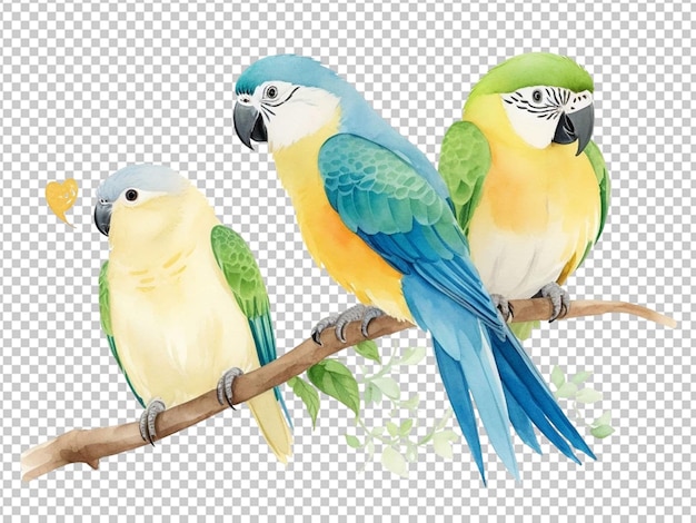 PSD watercolor illustration of a parrot