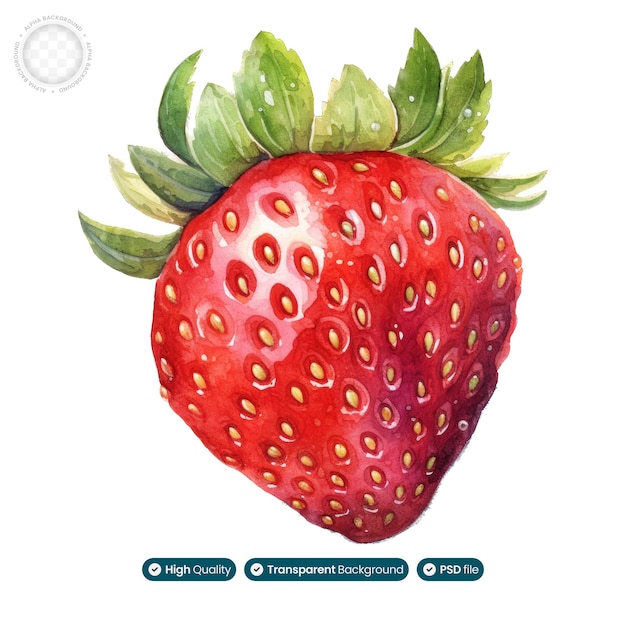 PSD watercolor illustration of ripe strawberries bursting with summery sweetness