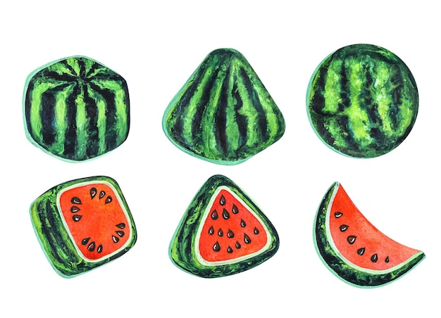 watercolor isolated watermelon Collection of geometric fruits