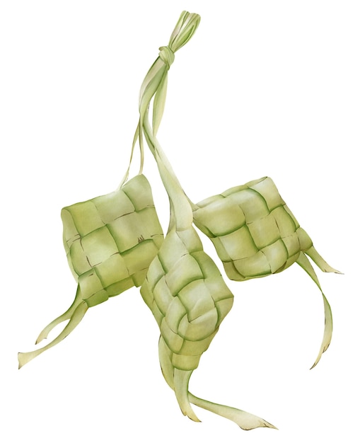 watercolor ketupat illustration for ramadan and eid mubarak