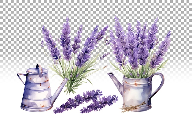 PSD watercolor lavender flower illustration farmhouse vintage style set for rustic wedding design