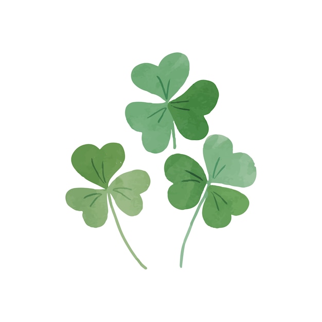 watercolor leaves  isolated