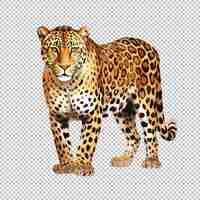 PSD watercolor leopard illustration on transparent background