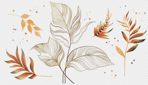 Watercolor line art leaves botanical design elements isolated