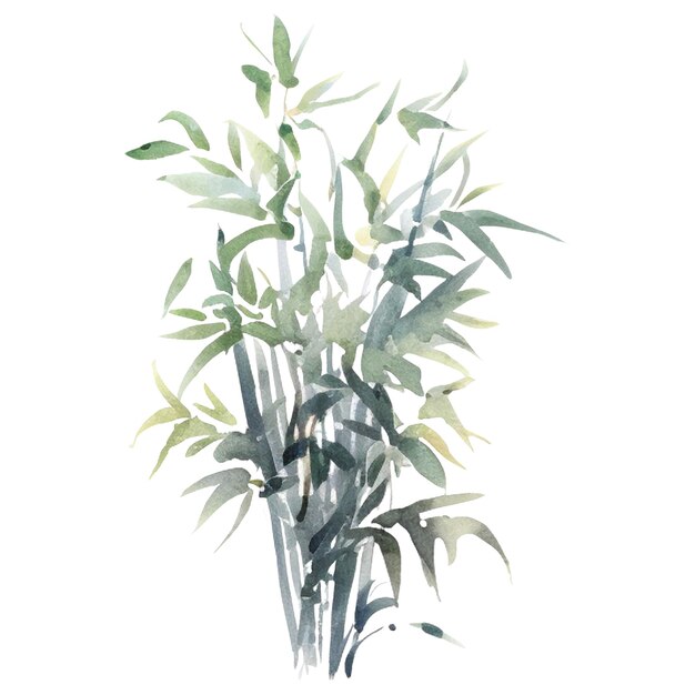 PSD watercolor painted bamboo hand drawn plant design elements isolated on white background