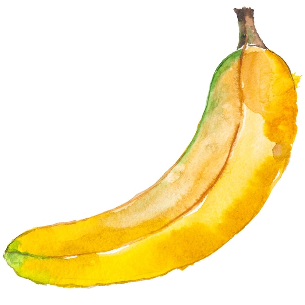白い背景に分離されたバナナ手描きの生鮮食品デザイン要素を描いた水彩画