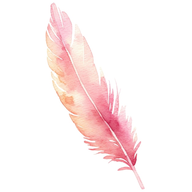 Watercolor painted bird feather hand drawn design element isolated on transparent background
