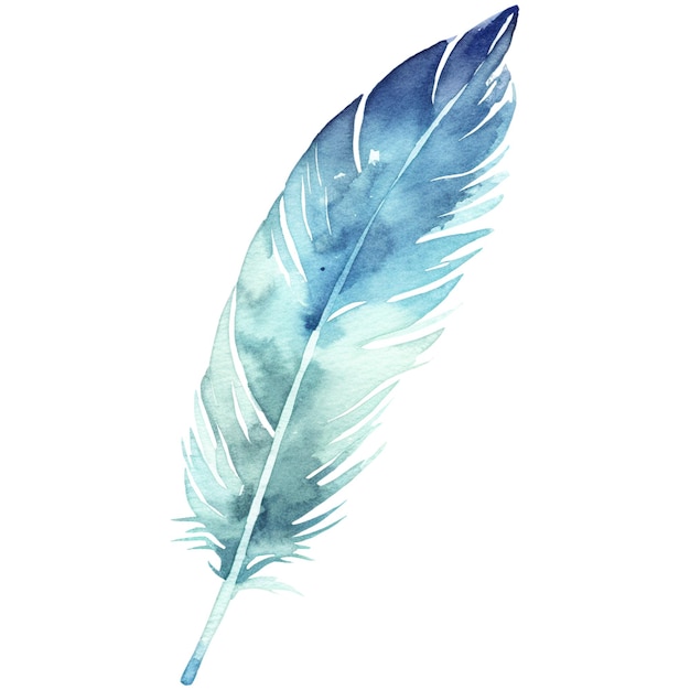 PSD watercolor painted bird feather hand drawn design element isolated on transparent background