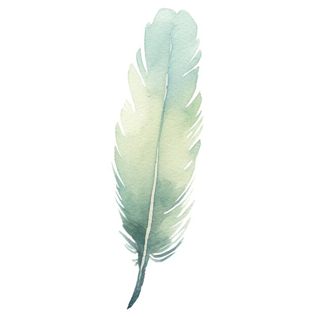 Watercolor painted bird feather hand drawn design element isolated on transparent background