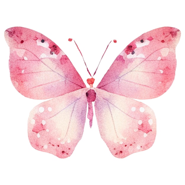 PSD watercolor painted butterfly hand drawn design element isolated on white background