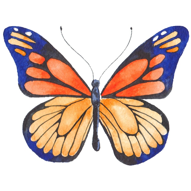 PSD 白い背景に分離された蝶の手描きのデザイン要素を描いた水彩画