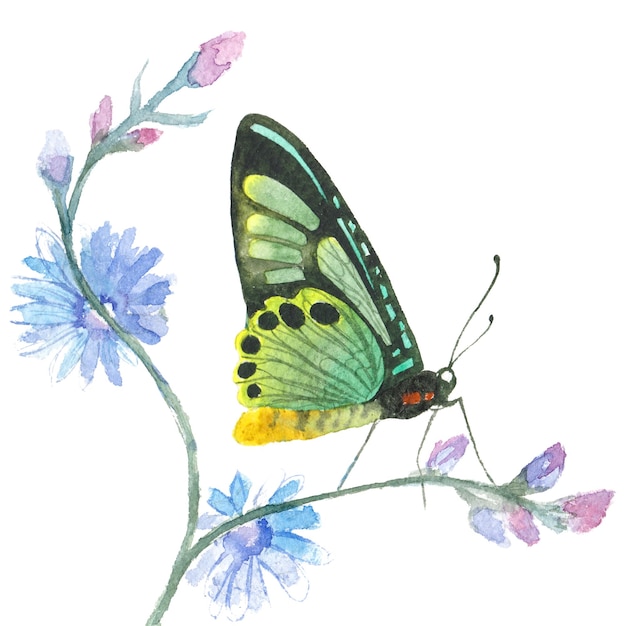 PSD watercolor painted butterfly hand drawn design elements isolated on white background