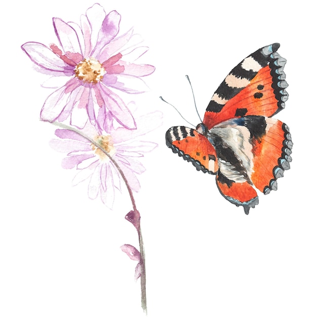PSD farfalla dipinta ad acquerello elementi di design disegnati a mano isolati su sfondo bianco