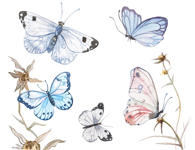 PSD watercolor painted butterfly hand drawn design elements isolated on white background