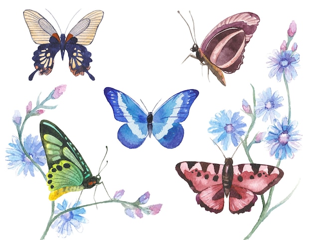 PSD watercolor painted butterfly hand drawn design elements isolated on white background