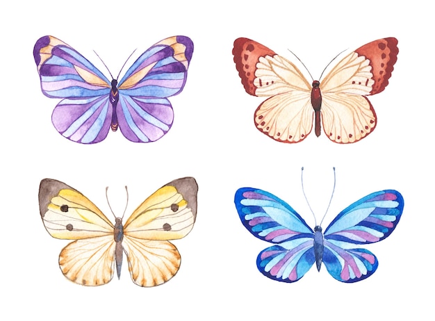 Watercolor painted butterfly hand drawn design elements isolated on white background