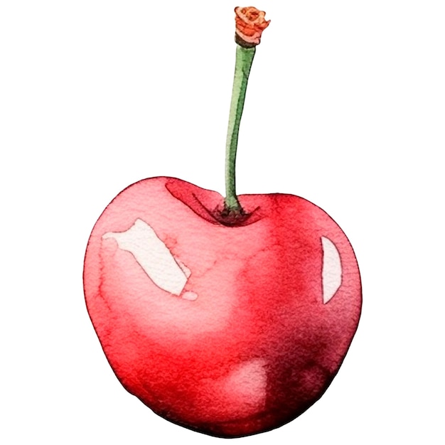 Акварель нарисованный вишнёвый фрукт ручно нарисованный элемент дизайна свежей еды, изолированный на белом фоне