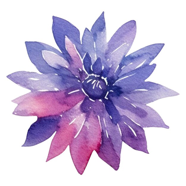 PSD watercolor painted dahlia flower hand drawn design element isolated on transparent background