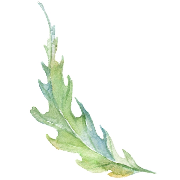 PSD タンポポの花の葉を描いた水彩画 手描きの花のデザイン要素が白い背景で隔離