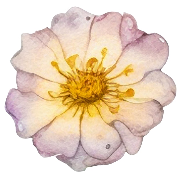 PSD 白い背景に隔離された手描きの花のデザイン要素