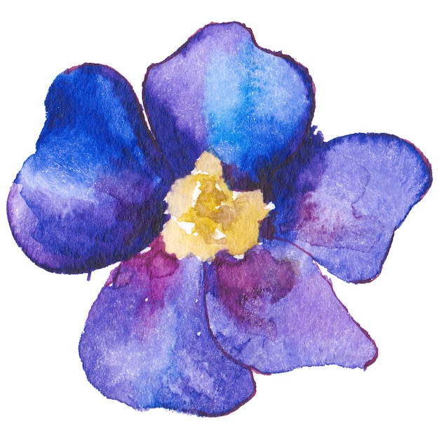 PSD 白い背景に分離された手描きの花のデザイン要素を描いた水彩画の花