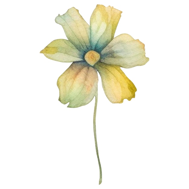 PSD fiore dipinto ad acquerello elementi di design di fiori disegnati a mano isolati su sfondo bianco