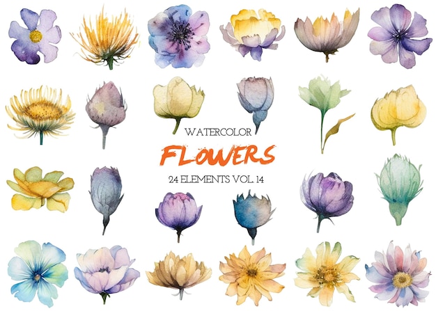 PSD watercolor painted flower hand drawn flower design elements isolated on white background