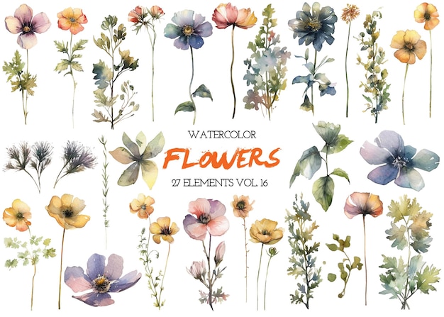 PSD watercolor painted flowers hand drawn flower design elements isolated on white background