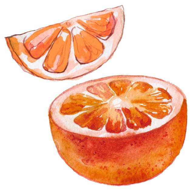 PSD watercolor painted orange fruit hand drawn fresh food design elements isolated on white background