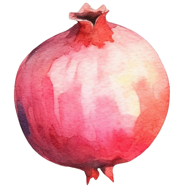 PSD watercolor painted pomegranate fruit hand drawn fresh food design element isolated on white