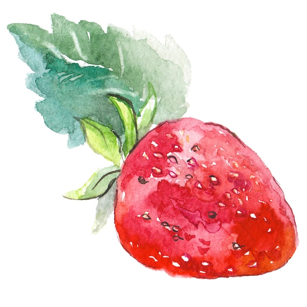 PSD 白い背景に分離されたイチゴ手描きの生鮮食品デザイン要素を描いた水彩画