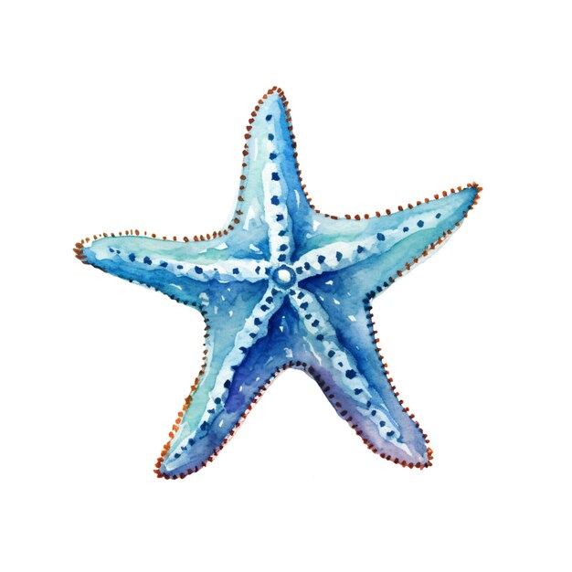 PSD watercolor painting of a starfish