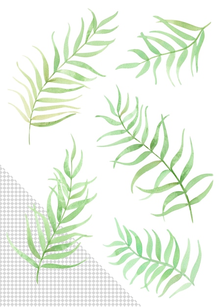 watercolor palm leaves