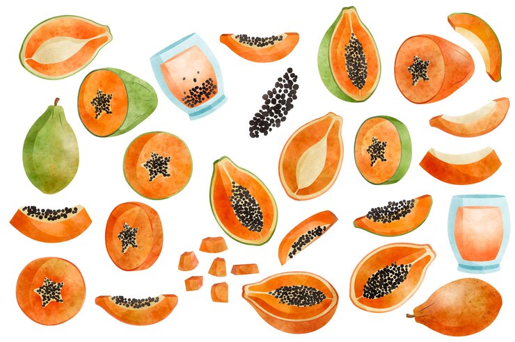 PSD watercolor papaya slices and drinks illustration