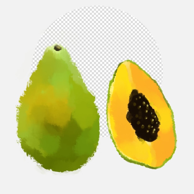 Watercolor pawpaw illustration