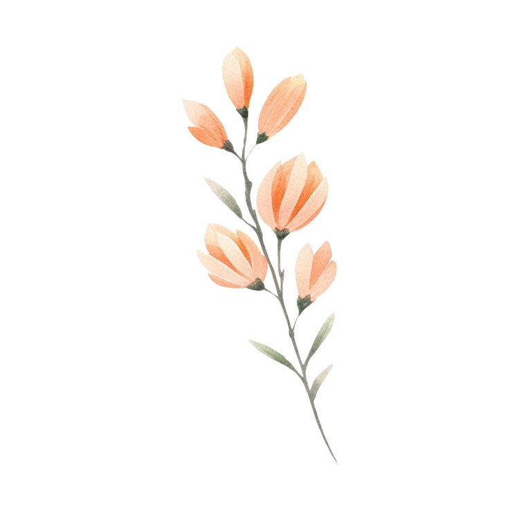 水彩の桃の花は白い背景に手で描かれた花です