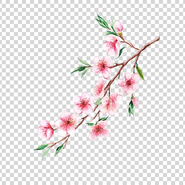 watercolor pink blossom branch