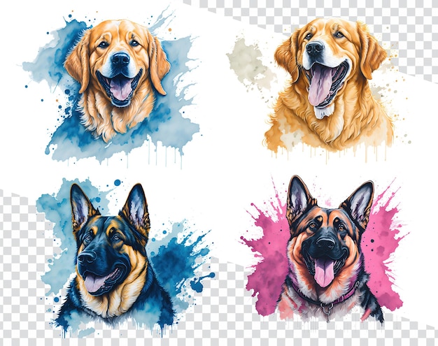 PSD watercolor portraits of german shepherd amp golden retriever on clear backdrop