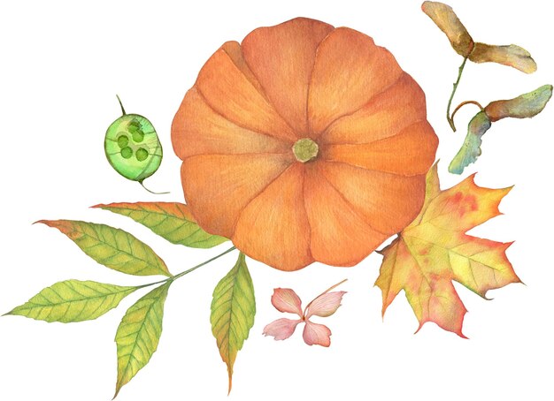 Disposizione della zucca dell'acquerello illustrazione floreale arredamento autunnale autunno ringraziamento