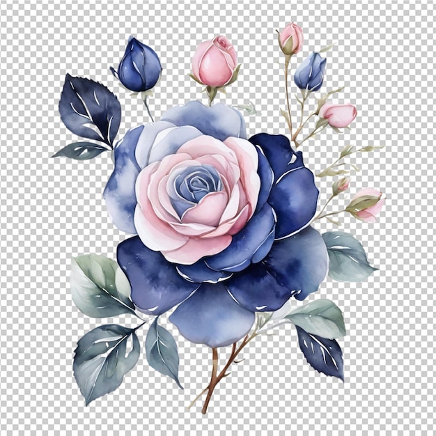 PSD watercolor rose flower
