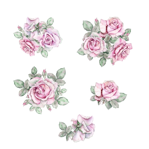 PSD watercolor roses