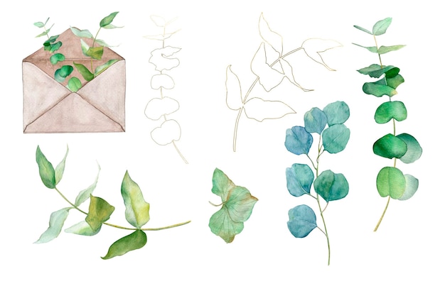 Watercolor set of eucalyptus set for design