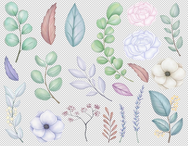 PSD watercolor set with winter flowers leaf and branches