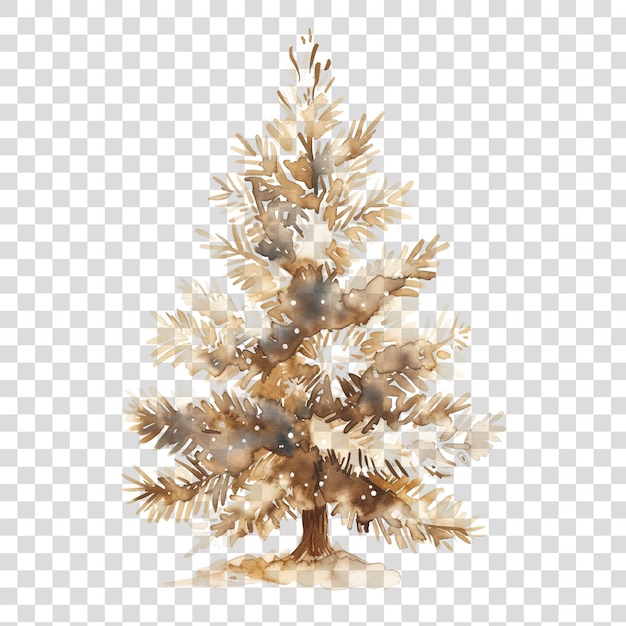 Watercolor style pine tree isolated on transparent background png