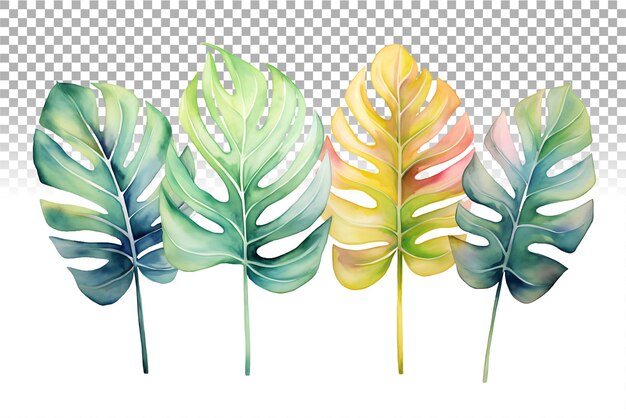 PSD watercolor tropical leaves collection featuring palm monstera and banana leaves in vibrant hues