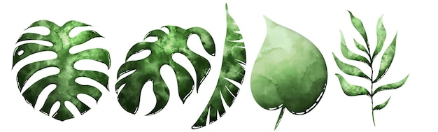 PSD watercolor tropical leaves set