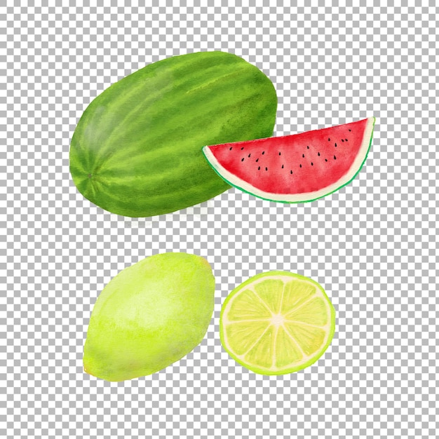 수채화 수박과 레몬 그림